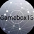 Game box 13