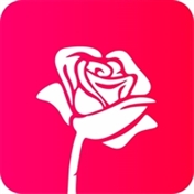 رز دیزاین rosedesign.ir