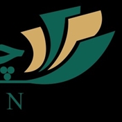 سالنامه چاپیون