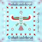 056.SHahzadeh