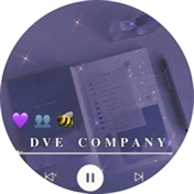 Company DVE 