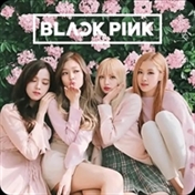 دیگ فعالیت نمیکنم