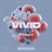 ViViD-Entertinment