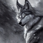 انیمه Wolf :/