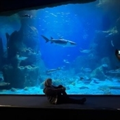 ʏᴜɴᴀ ☆اموزش و روزمرگی