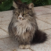 کانال بسته شد.کانال=Black heart2~~