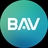 BAV Science and Industry Group