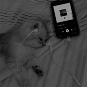 - همه قشنگن، ولی هرکسی به چشمِ یکی ؛)