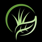 گلخانه سانا گل