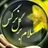 آرمین