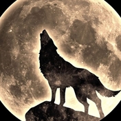 ☆°lone wolf of the night ☆° پستام لایک شه.
