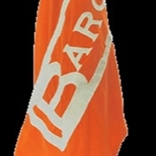 AryaBaron