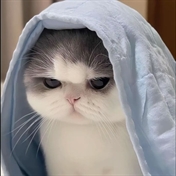 «:Kiana Handerson:» ( قاتل مخفی)