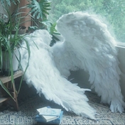 Choi Minsoo | Romace Channel