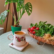 فیلم و سریال