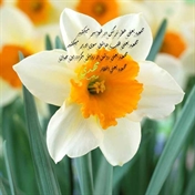 MohammadMahdi Tavassoli