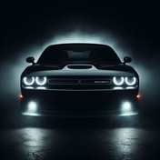 Sadra_Shark