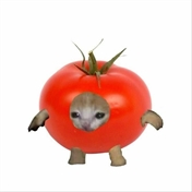 Nana (میوفرنگی ver) رریتی نماشا