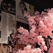 هوتوکه (فالو=فالو)