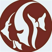 فراالکتریک شهر