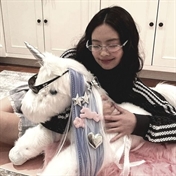 lily ⑅ﾟ๑☆
