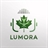 Lumora team