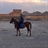 محمد رضا حسنی