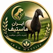 هایپر مارکت دام ایران ماستیف