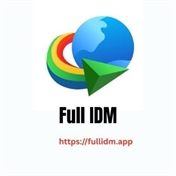 Full IDM