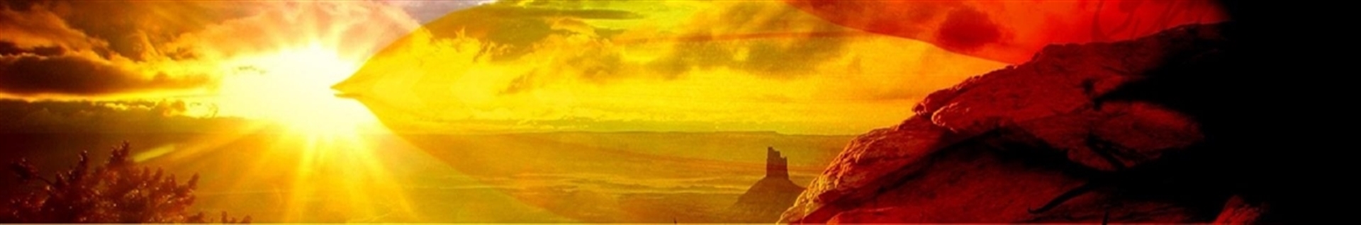 شفیقه طهماسبی