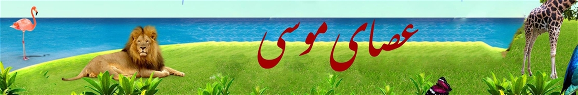 عـــــــصــــــــا ی مــــــــــــو ســــــــــــــــــی