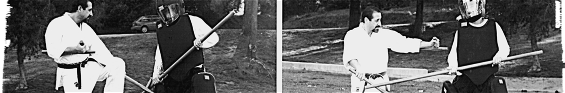 سن سی سرفراز