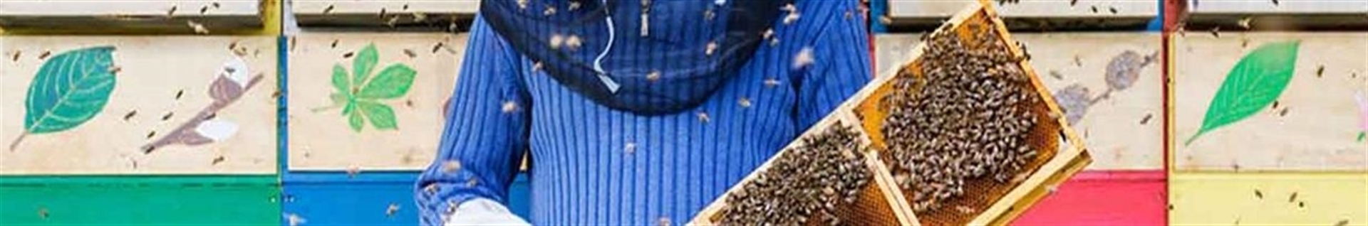 بهترین عسل فروشی تهران