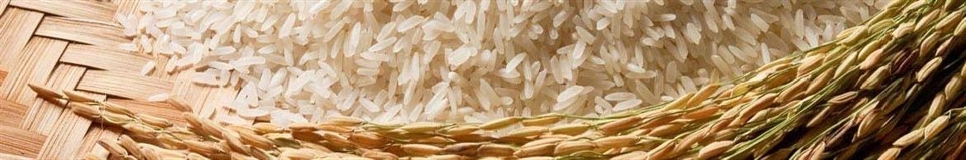 www.allrice.ir   (مرکز برنج ایران)