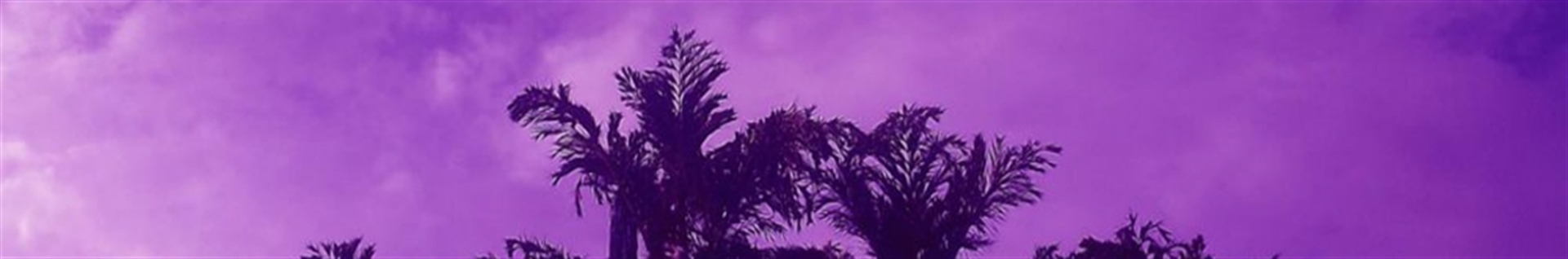 Hydrangea ⁦❤️⁩ ادریسی هورتانسیا⁦