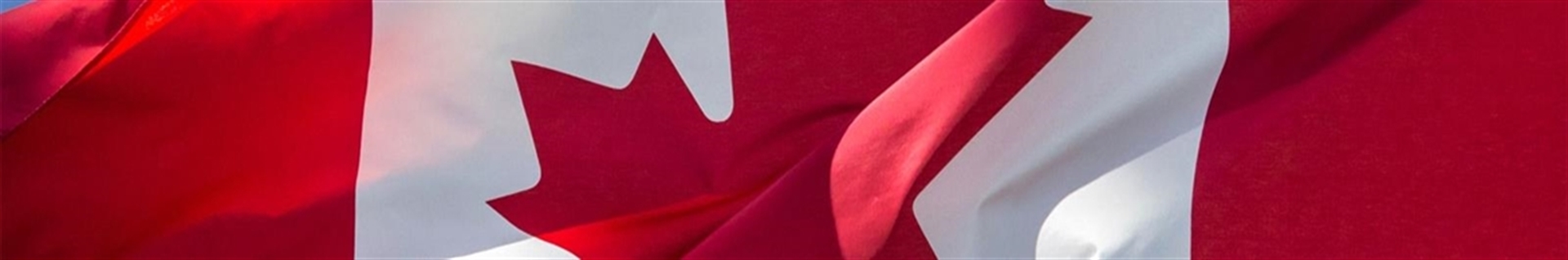 موسسه مهاجرتی  e-Visa