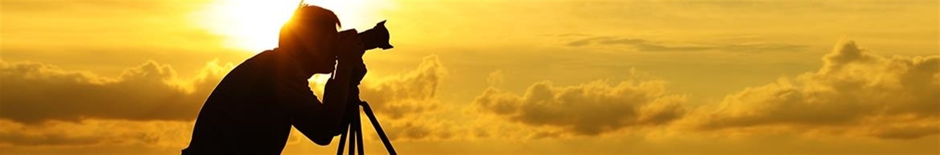 امیر بیان فر