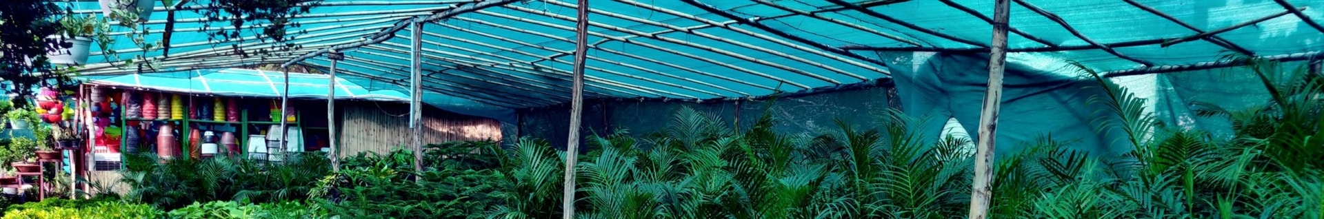 توری سایبان