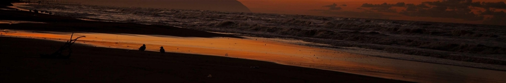 یونس خطیب | Yunes Khatib