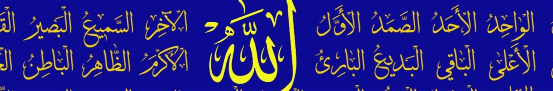 salehnews