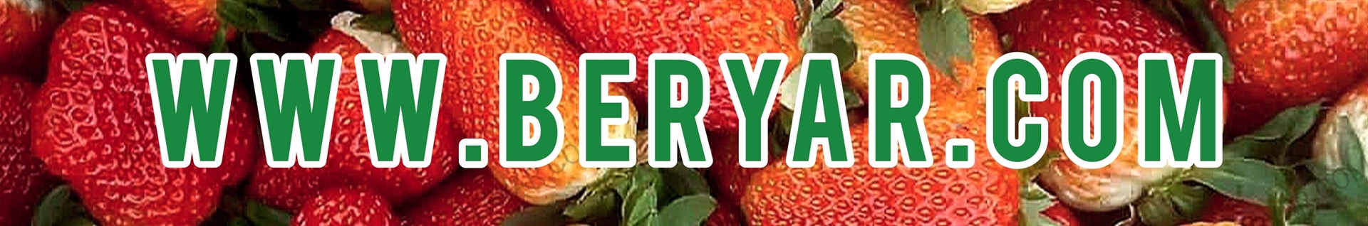 تجهیزات گلخانه بِریار