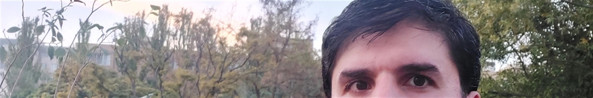 RAHMAN SHAHSAVARI KING