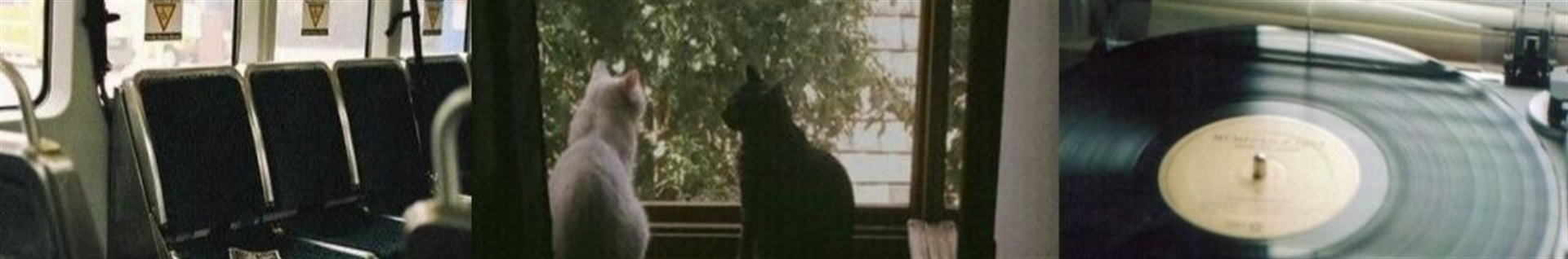 海_ʟɪʟʏ ᴄʜᴏᴜ-ᴄʜᴏᴜ