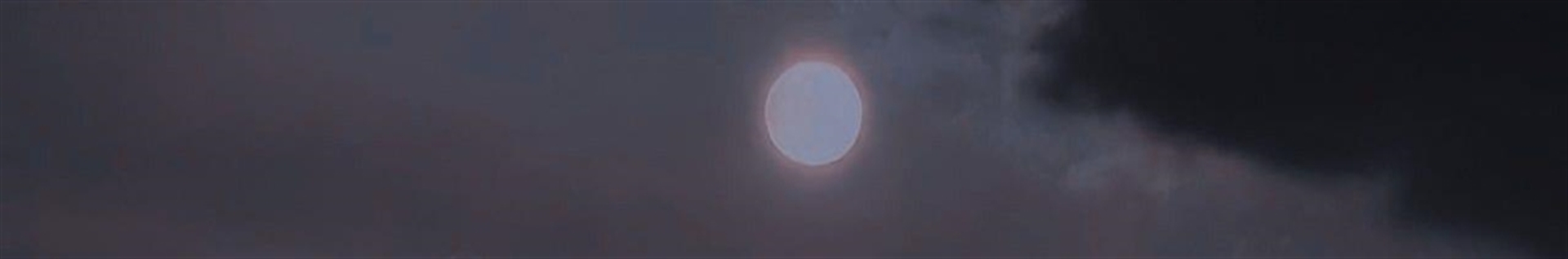 태형'ᴸᶤᵗᵗˡᵉ ᵀᶤᵍᵉʳ'