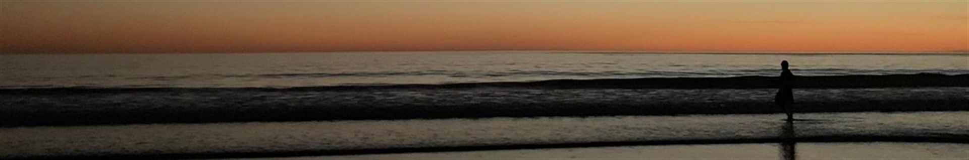 چال روی گونه های کیم نامجون