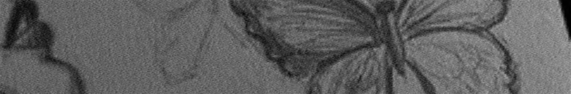 ~پارک‌دارینکا.آیکان‌ماینِِ!