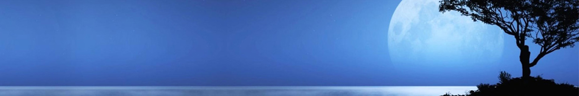 دنیای سریال و فیلم