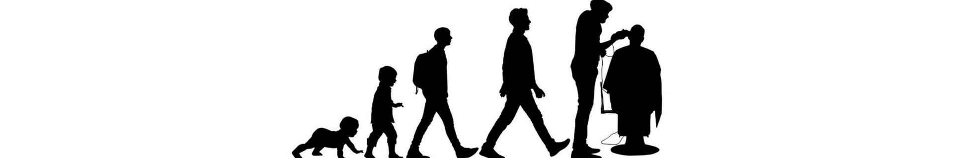 آکادمی علامی