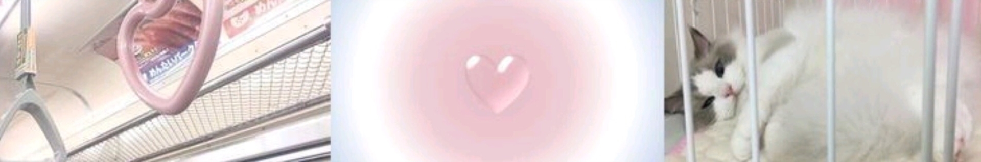 ݦــــ✩ار‍یــ‍لإ