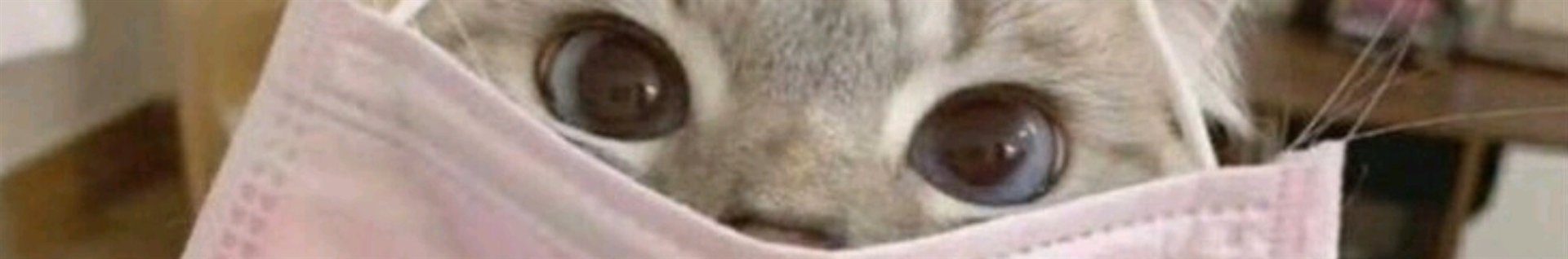 ᴍᴀɴʟʏ?مانلـ★ـی